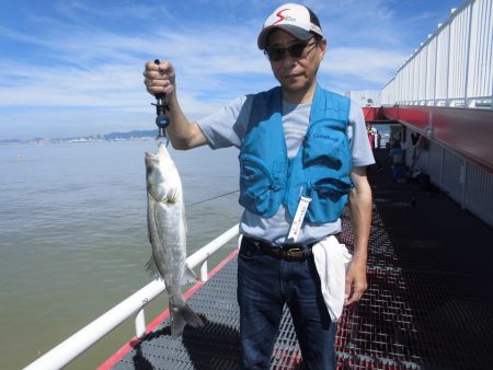 尼崎市立魚つり公園 釣果