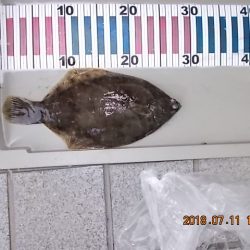 姫路市立遊魚センター 釣果