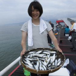 尼崎市立魚つり公園 釣果