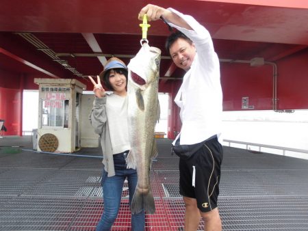 尼崎市立魚つり公園 釣果