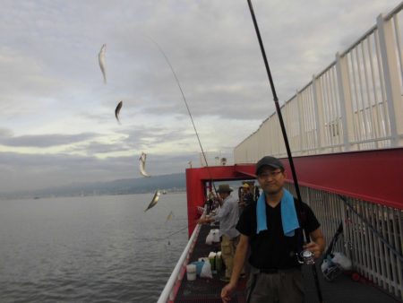 尼崎市立魚つり公園 釣果