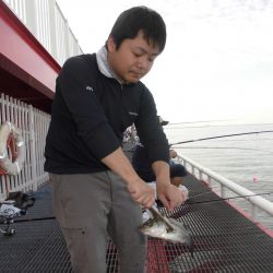 尼崎市立魚つり公園 釣果