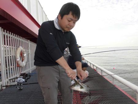 尼崎市立魚つり公園 釣果