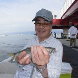 尼崎市立魚つり公園 釣果