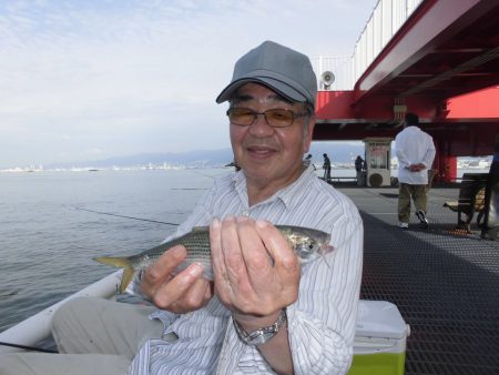 尼崎市立魚つり公園 釣果