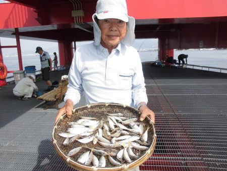 尼崎市立魚つり公園 釣果