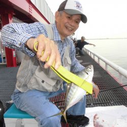 尼崎市立魚つり公園 釣果