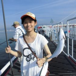 尼崎市立魚つり公園 釣果