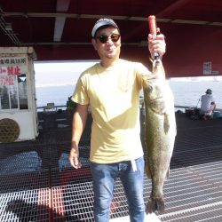 尼崎市立魚つり公園 釣果