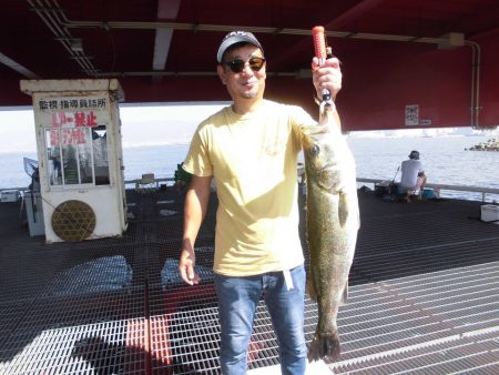 尼崎市立魚つり公園 釣果