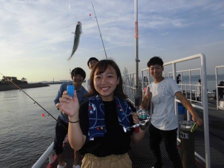 尼崎市立魚つり公園 釣果