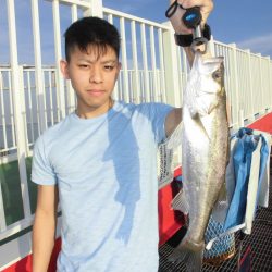 尼崎市立魚つり公園 釣果