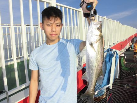 尼崎市立魚つり公園 釣果