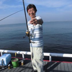 尼崎市立魚つり公園 釣果