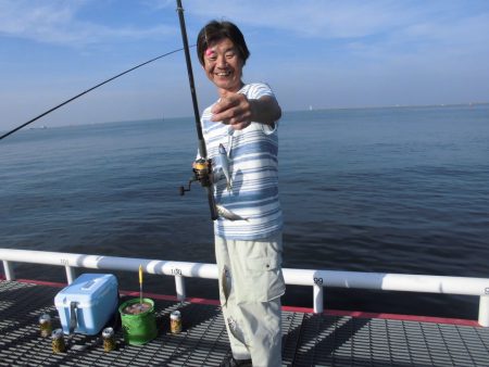 尼崎市立魚つり公園 釣果