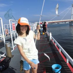 尼崎市立魚つり公園 釣果