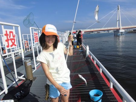 尼崎市立魚つり公園 釣果