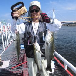 尼崎市立魚つり公園 釣果