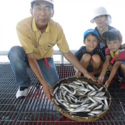 尼崎市立魚つり公園 釣果