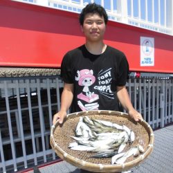 尼崎市立魚つり公園 釣果