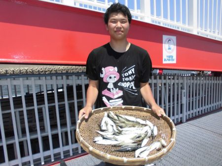 尼崎市立魚つり公園 釣果