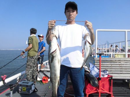 尼崎市立魚つり公園 釣果