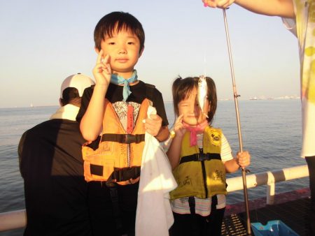 尼崎市立魚つり公園 釣果