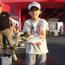 尼崎市立魚つり公園 釣果