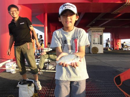 尼崎市立魚つり公園 釣果