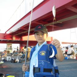 尼崎市立魚つり公園 釣果