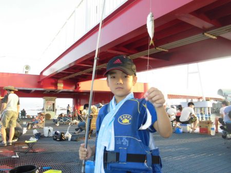 尼崎市立魚つり公園 釣果