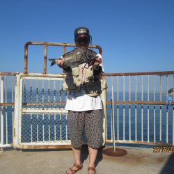 下関フィッシングパーク 釣果