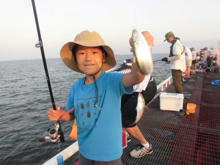 尼崎市立魚つり公園 釣果
