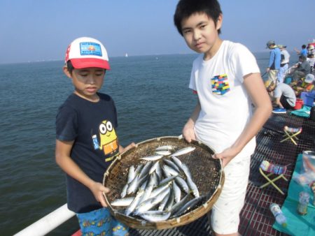 尼崎市立魚つり公園 釣果