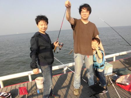 尼崎市立魚つり公園 釣果