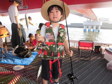 尼崎市立魚つり公園 釣果