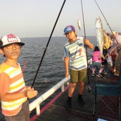 尼崎市立魚つり公園 釣果