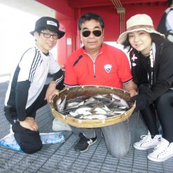 尼崎市立魚つり公園 釣果