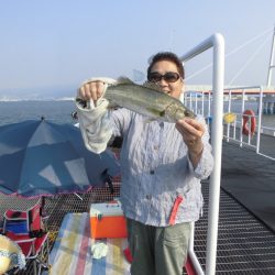尼崎市立魚つり公園 釣果