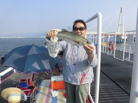尼崎市立魚つり公園 釣果