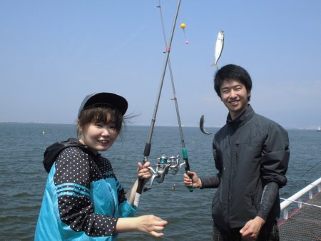 尼崎市立魚つり公園 釣果