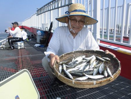 尼崎市立魚つり公園 釣果