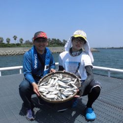 尼崎市立魚つり公園 釣果
