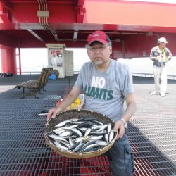 尼崎市立魚つり公園 釣果