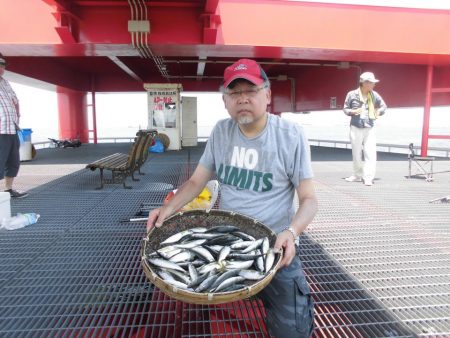 尼崎市立魚つり公園 釣果