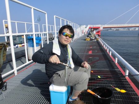 尼崎市立魚つり公園 釣果