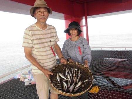 尼崎市立魚つり公園 釣果