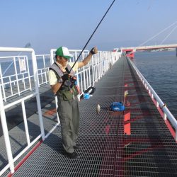 尼崎市立魚つり公園 釣果