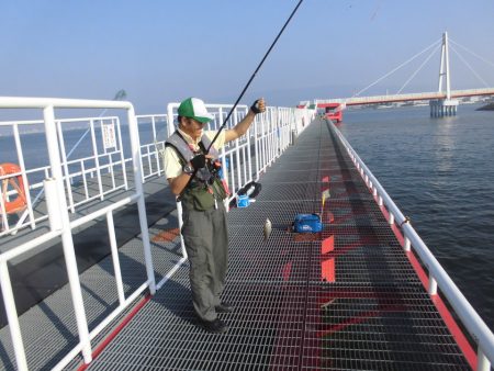 尼崎市立魚つり公園 釣果