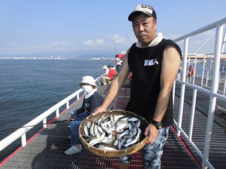 尼崎市立魚つり公園 釣果